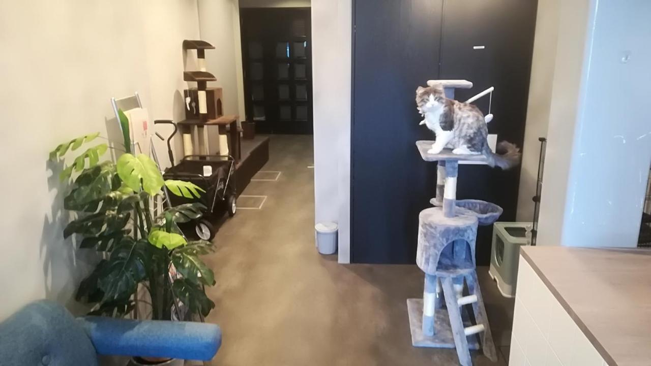 Cote Sakuragawa "Room 201,301,401" - Vacation Stay 03144V Osaka Exterior foto